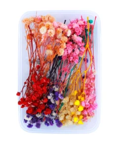 Baby Breath Dry Flower Box | NATURAL DRIED FLORAL MIX FOR CRAFTS, DECOR & CANDLE MAKING